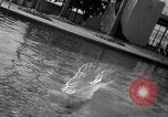 Image of Olympic diving coaching Santa Barbara California USA, 1939, second 33 stock footage video 65675070061