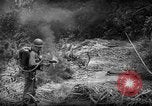 Standbild amerikanische Armee 77th Division Pacific Kampagne Ryukyu Inseln, 1945, aus Sekunde 33 historischem Filmmaterial Videoclip 65675070071