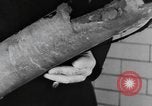 Image of fire campaign United States USA, 1935, second 39 stock footage video 65675070081
