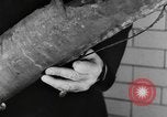 Image of fire campaign United States USA, 1935, second 40 stock footage video 65675070081