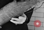 Image of fire campaign United States USA, 1935, second 41 stock footage video 65675070081