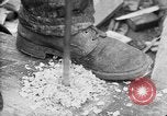 Image of 106th Engineers constructing a warehouse Brest France, 1918, second 61 stock footage video 65675070083