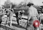 Image of 501st and 529th Engineers Brest France, 1918, second 24 stock footage video 65675070084
