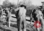 Image of 501st and 529th Engineers Brest France, 1918, second 27 stock footage video 65675070084