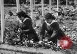 Standbild Friedhof Brest Frankreich, 1918, aus Sekunde 33 historischem Filmmaterial Videoclip 65675070095