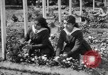 Standbild Friedhof Brest Frankreich, 1918, aus Sekunde 34 historischem Filmmaterial Videoclip 65675070095
