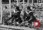 Standbild Friedhof Brest Frankreich, 1918, aus Sekunde 36 historischem Filmmaterial Videoclip 65675070095