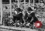 Standbild Friedhof Brest Frankreich, 1918, aus Sekunde 39 historischem Filmmaterial Videoclip 65675070095