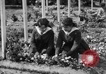 Standbild Friedhof Brest Frankreich, 1918, aus Sekunde 40 historischem Filmmaterial Videoclip 65675070095