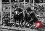Standbild Friedhof Brest Frankreich, 1918, aus Sekunde 42 historischem Filmmaterial Videoclip 65675070095