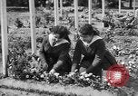 Standbild Friedhof Brest Frankreich, 1918, aus Sekunde 43 historischem Filmmaterial Videoclip 65675070095