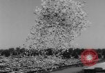 Standbild internationalen 500-Meilen Rennen Gewinnspiele Indianapolis Indiana USA, 1961, aus Sekunde 19 historischem Filmmaterial Videoclip 65675070099