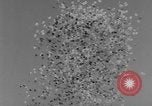 Standbild internationalen 500-Meilen Rennen Gewinnspiele Indianapolis Indiana USA, 1961, aus Sekunde 23 historischem Filmmaterial Videoclip 65675070099