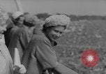 Standbild Epsom Derby Epsom Surrey England, 1961, aus Sekunde 15 historischem Filmmaterial Videoclip 65675070100