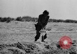 Immagine di Stati Uniti truppe Italia, 1944, secondo 6 filmato di repertorio 65675070114