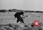 Immagine di Stati Uniti truppe Italia, 1944, secondo 7 filmato di repertorio 65675070114