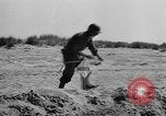 Immagine di Stati Uniti truppe Italia, 1944, secondo 9 filmato di repertorio 65675070114