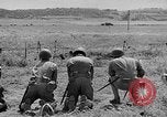 Immagine di Stati Uniti truppe Italia, 1944, secondo 13 filmato di repertorio 65675070114