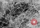 Immagine di Stati Uniti truppe Italia, 1944, secondo 31 filmato di repertorio 65675070114