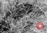 Immagine di Stati Uniti truppe Italia, 1944, secondo 32 filmato di repertorio 65675070114
