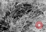 Immagine di Stati Uniti truppe Italia, 1944, secondo 33 filmato di repertorio 65675070114