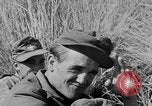 Image of United States troops Italy, 1944, second 24 stock footage video 65675070116