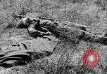 Image of United States troops Italy, 1944, second 29 stock footage video 65675070116