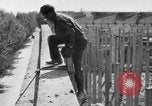 Immagine di Stati Uniti truppe Italia, 1944, secondo 9 filmato di repertorio 65675070117