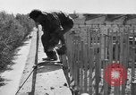Immagine di Stati Uniti truppe Italia, 1944, secondo 10 filmato di repertorio 65675070117