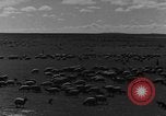 Immagine di Mandrie di cavalli Unione Sovietica, 1942, secondo 9 filmato di repertorio 65675070119