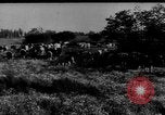 Immagine di Mandrie di cavalli Unione Sovietica, 1942, secondo 32 filmato di repertorio 65675070119