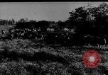 Immagine di Mandrie di cavalli Unione Sovietica, 1942, secondo 35 filmato di repertorio 65675070119