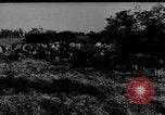 Immagine di Mandrie di cavalli Unione Sovietica, 1942, secondo 36 filmato di repertorio 65675070119