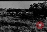 Immagine di Mandrie di cavalli Unione Sovietica, 1942, secondo 37 filmato di repertorio 65675070119