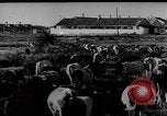 Immagine di Mandrie di cavalli Unione Sovietica, 1942, secondo 38 filmato di repertorio 65675070119