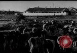 Immagine di Mandrie di cavalli Unione Sovietica, 1942, secondo 40 filmato di repertorio 65675070119