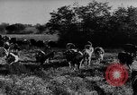 Immagine di Mandrie di cavalli Unione Sovietica, 1942, secondo 45 filmato di repertorio 65675070119
