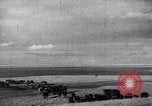 Immagine di Mandrie di cavalli Unione Sovietica, 1942, secondo 51 filmato di repertorio 65675070119