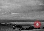 Immagine di Mandrie di cavalli Unione Sovietica, 1942, secondo 52 filmato di repertorio 65675070119