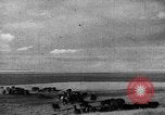 Immagine di Mandrie di cavalli Unione Sovietica, 1942, secondo 53 filmato di repertorio 65675070119