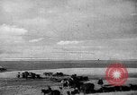 Immagine di Mandrie di cavalli Unione Sovietica, 1942, secondo 55 filmato di repertorio 65675070119