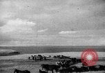 Immagine di Mandrie di cavalli Unione Sovietica, 1942, secondo 58 filmato di repertorio 65675070119