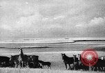 Immagine di Mandrie di cavalli Unione Sovietica, 1942, secondo 60 filmato di repertorio 65675070119