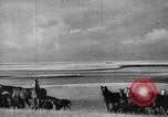 Immagine di Mandrie di cavalli Unione Sovietica, 1942, secondo 61 filmato di repertorio 65675070119