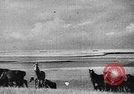 Immagine di Mandrie di cavalli Unione Sovietica, 1942, secondo 62 filmato di repertorio 65675070119