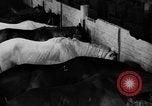 Standbild Pferde Sowjetunion, 1942, aus Sekunde 6 historischem Filmmaterial Videoclip 65675070120