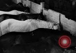 Standbild Pferde Sowjetunion, 1942, aus Sekunde 7 historischem Filmmaterial Videoclip 65675070120