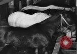 Standbild Pferde Sowjetunion, 1942, aus Sekunde 12 historischem Filmmaterial Videoclip 65675070120