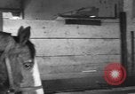 Standbild Pferde Sowjetunion, 1942, aus Sekunde 17 historischem Filmmaterial Videoclip 65675070120