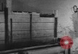 Standbild Pferde Sowjetunion, 1942, aus Sekunde 18 historischem Filmmaterial Videoclip 65675070120